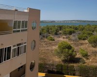 Rynek Wtórny - Apartament - Torrevieja - Urbanización San Luis