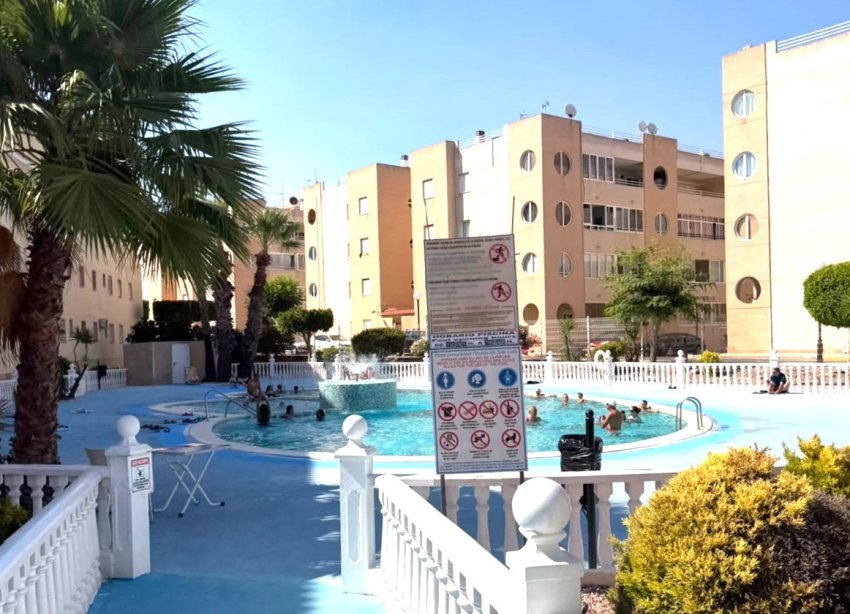 Rynek Wtórny - Apartament - Torrevieja - Urbanización San Luis