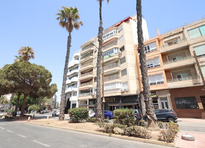 Rynek Wtórny - Apartament - Torrevieja
