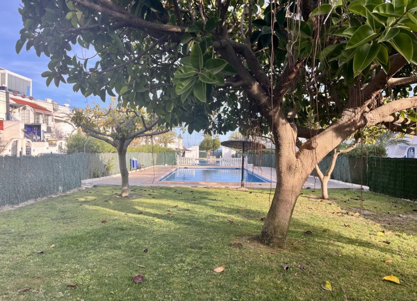 Rynek Wtórny - Apartament - Torrevieja