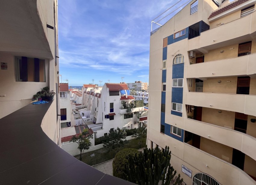 Rynek Wtórny - Apartament - Torrevieja