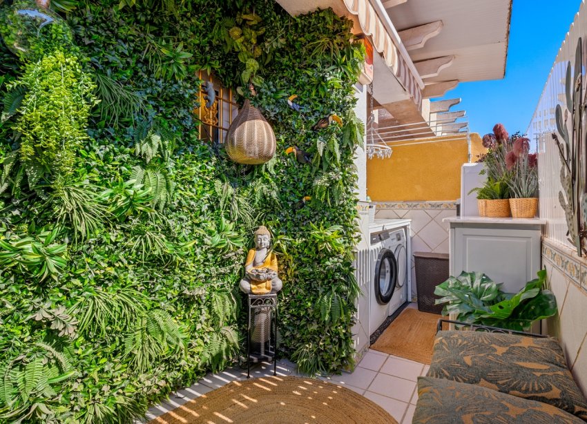 Rynek Wtórny - Apartament - Torrevieja