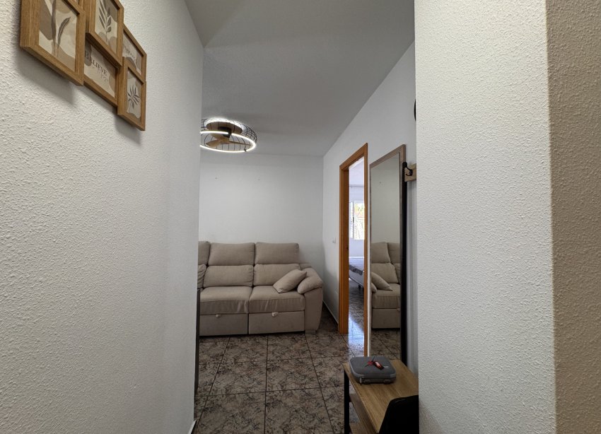 Rynek Wtórny - Apartament - Torrevieja