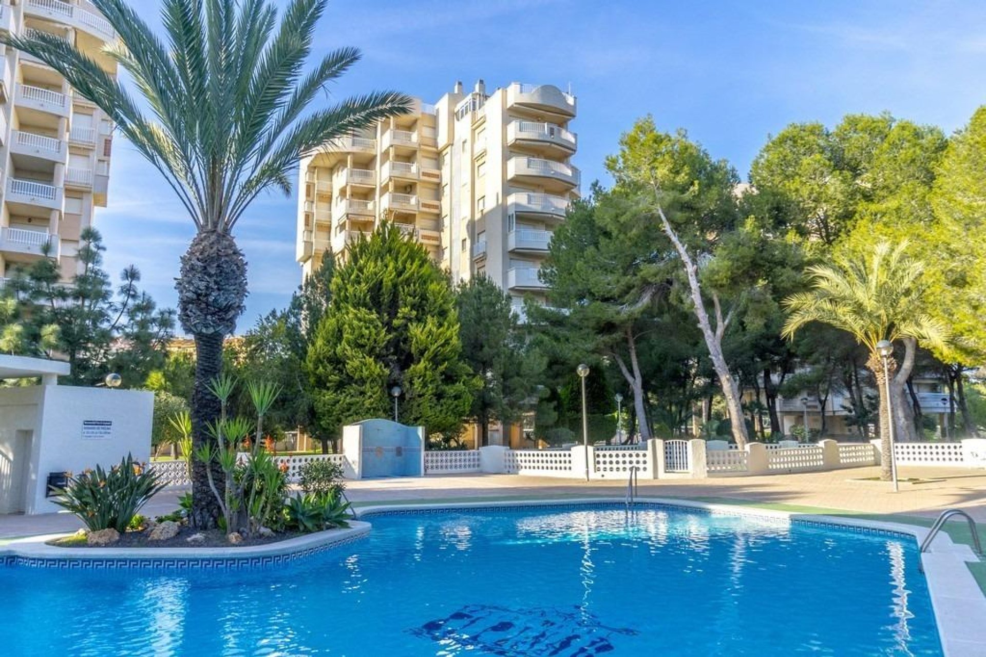 Rynek Wtórny - Apartment - Orihuela Costa - Campoamor