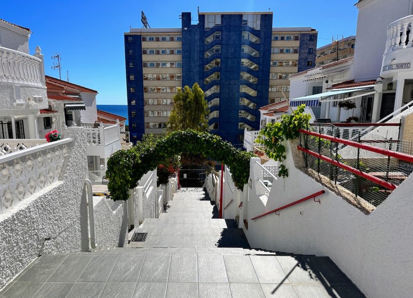 Rynek Wtórny - Apartment - Torrevieja - Cabo Cervera