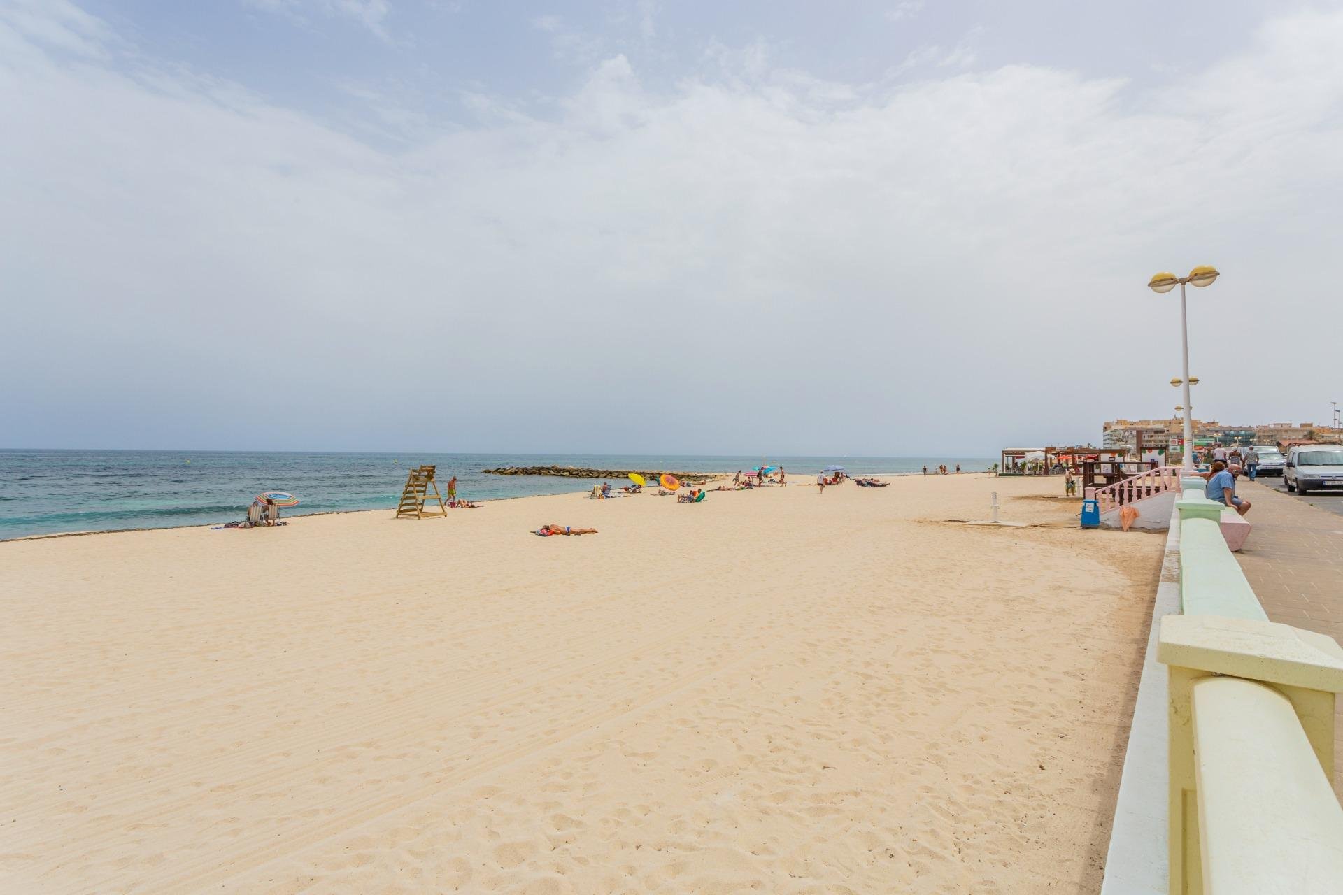 Rynek Wtórny - Apartment - Torrevieja - Estacion de autobuses