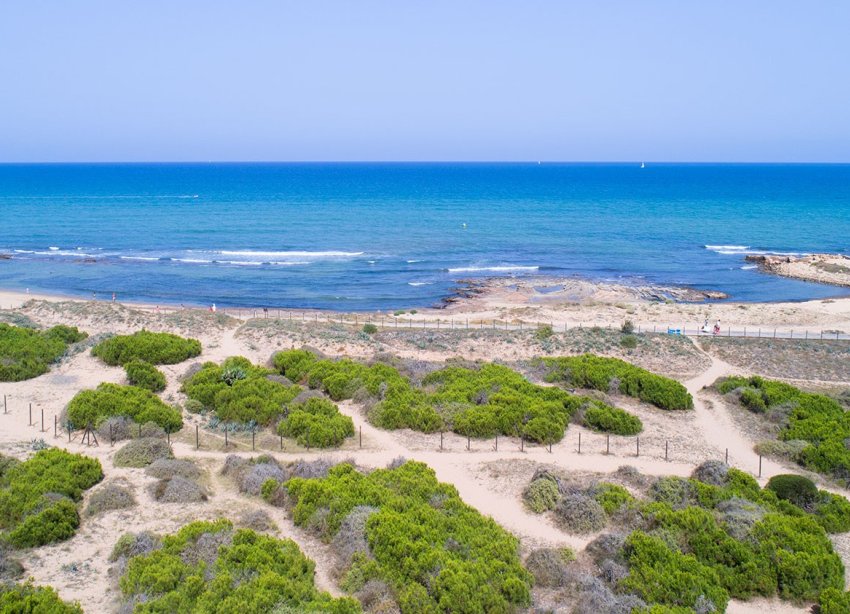 Rynek Wtórny - Apartment - Torrevieja - La Mata