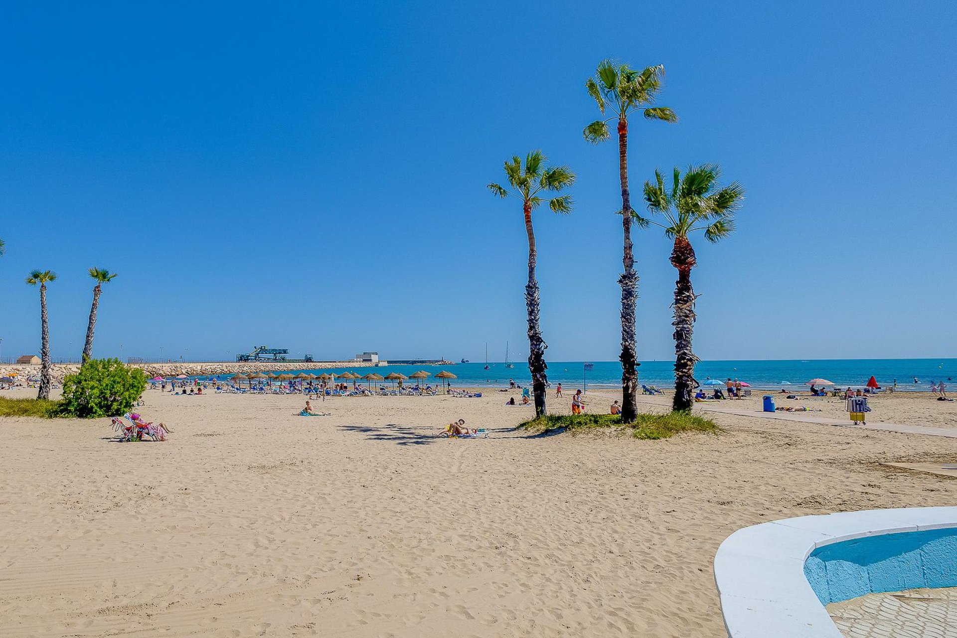 Rynek Wtórny - Apartment - Torrevieja - playa de los naufragos