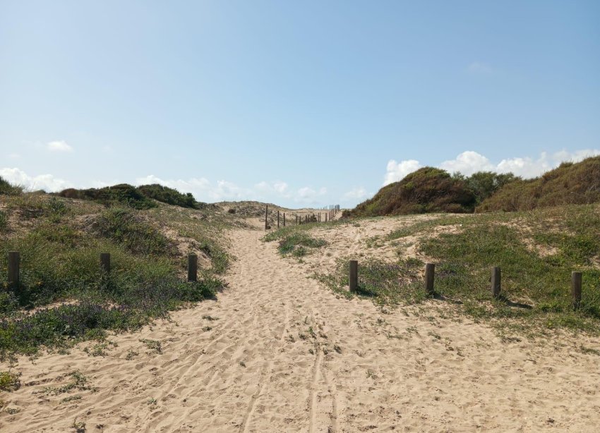 Rynek Wtórny - Bungalow / Domek parterowy - Guardamar del Segura - Urbanizaciones