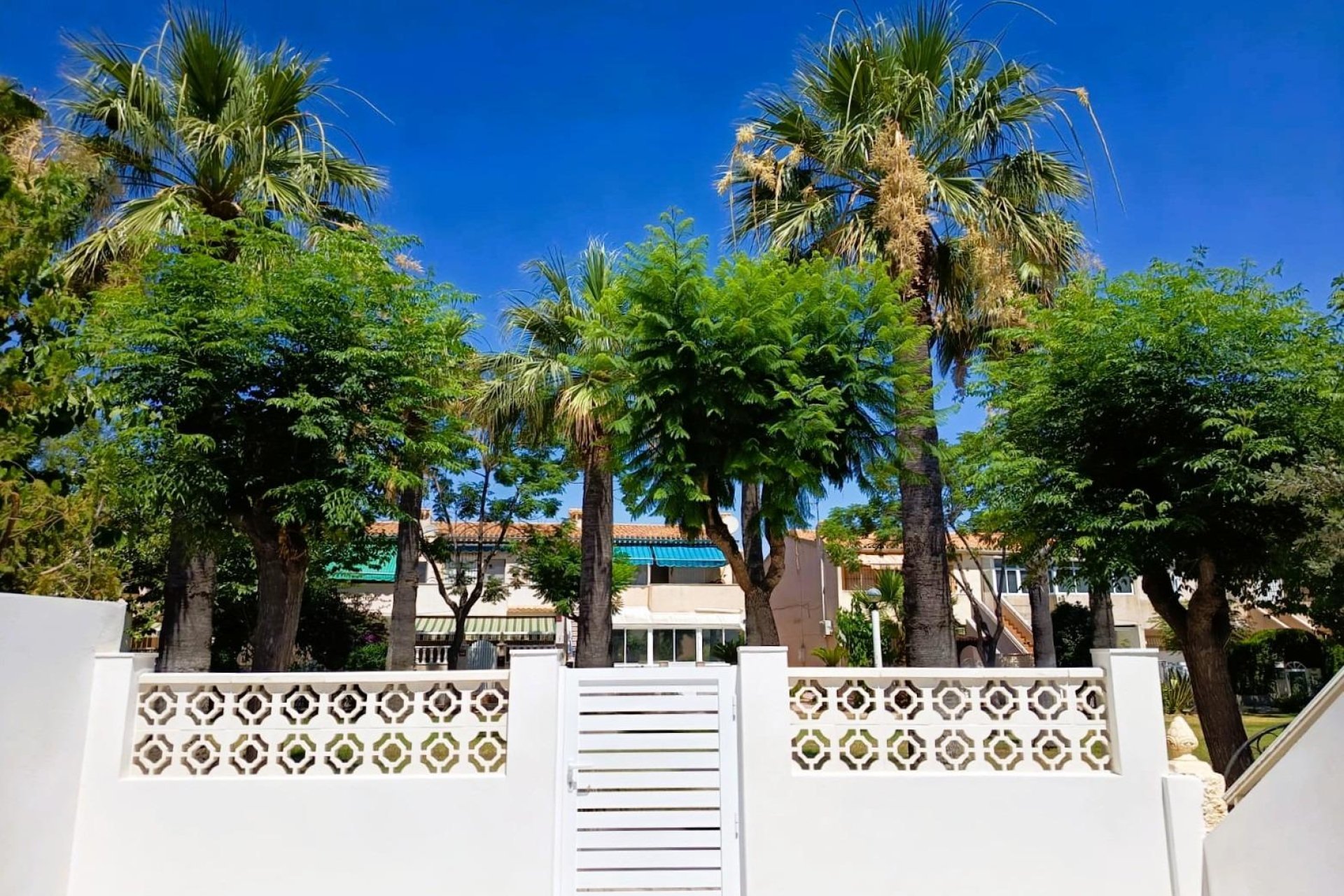 Rynek Wtórny - Bungalow / Domek parterowy - Orihuela Costa - La Regia