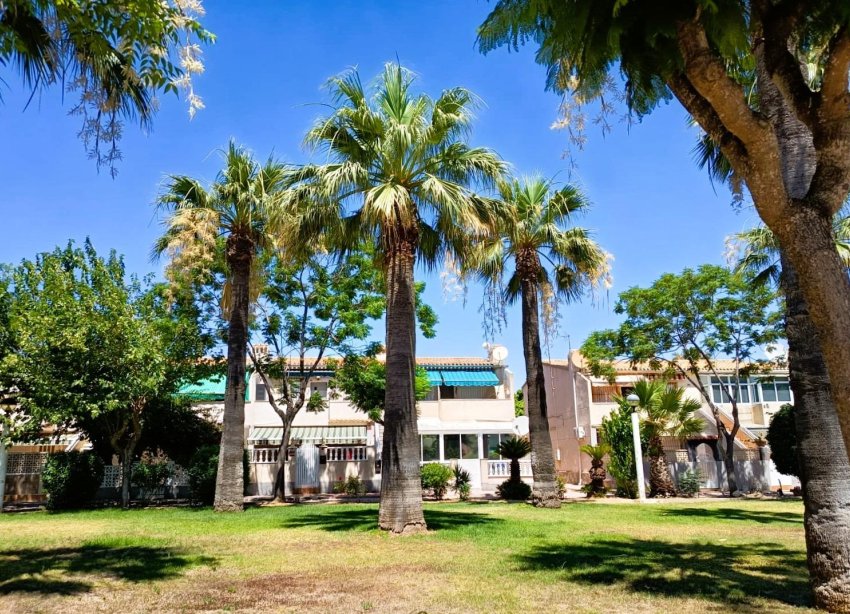 Rynek Wtórny - Bungalow / Domek parterowy - Orihuela Costa - La Regia
