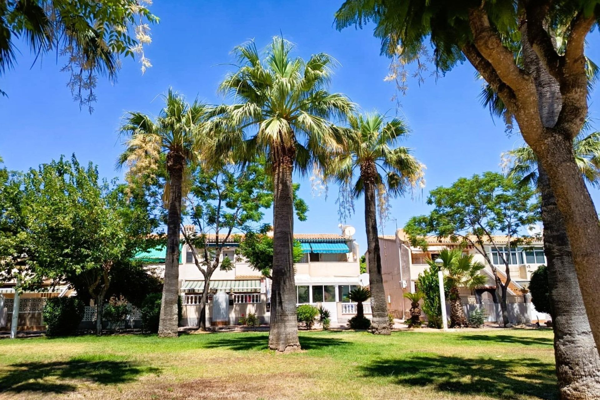 Rynek Wtórny - Bungalow / Domek parterowy - Orihuela Costa - La Regia