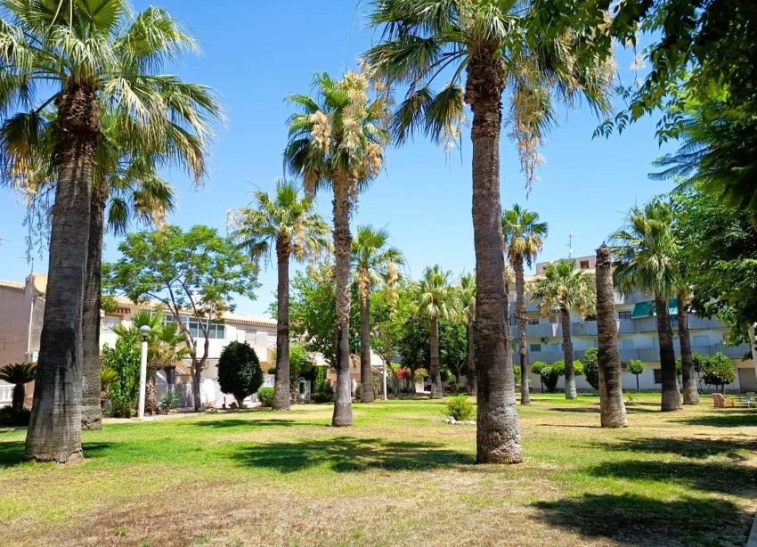 Rynek Wtórny - Bungalow / Domek parterowy - Orihuela Costa - La Regia