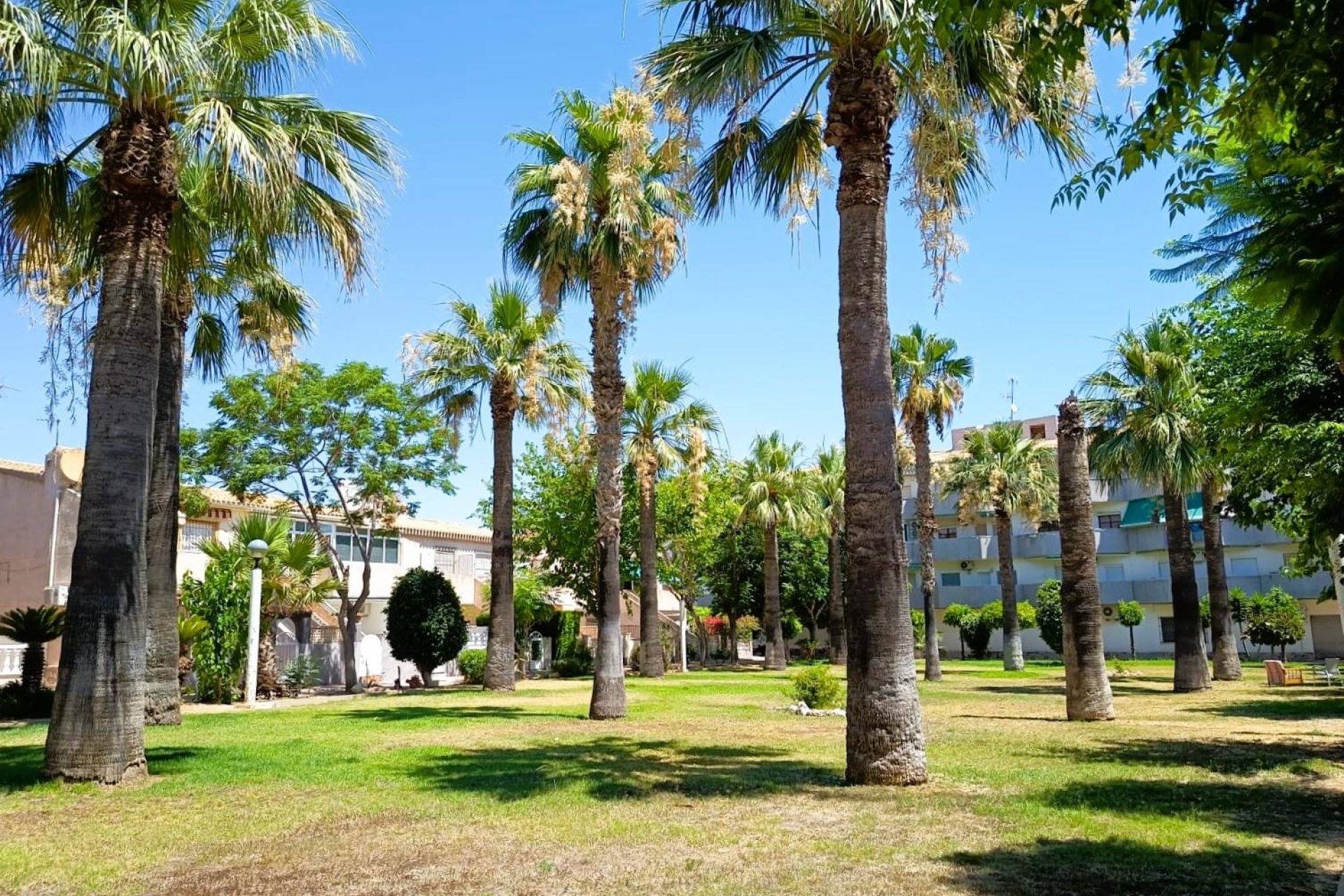 Rynek Wtórny - Bungalow / Domek parterowy - Orihuela Costa - La Regia