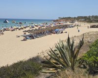 Rynek Wtórny - Bungalow / Domek parterowy - Orihuela Costa - Mil Palmeras