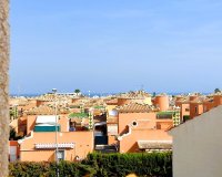 Rynek Wtórny - Bungalow / Domek parterowy - Orihuela Costa - Playa Flamenca