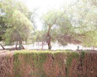 Rynek Wtórny - Bungalow / Domek parterowy - Orihuela Costa - Punta Prima