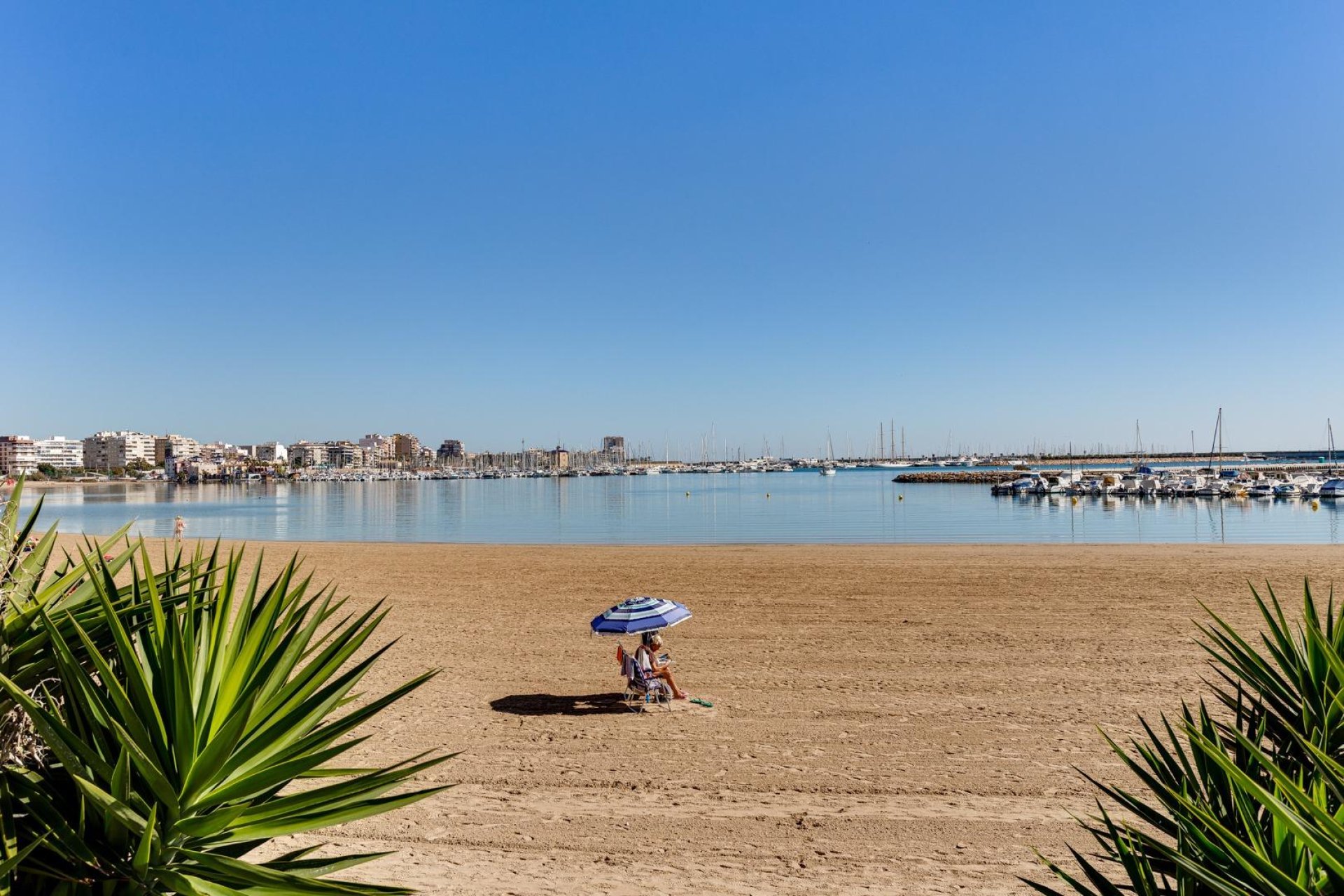 Rynek Wtórny - Bungalow / Domek parterowy - Torrevieja - Centro - Muelle Pesquero