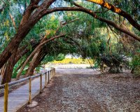 Rynek Wtórny - Bungalow / Domek parterowy - Torrevieja - El chaparral