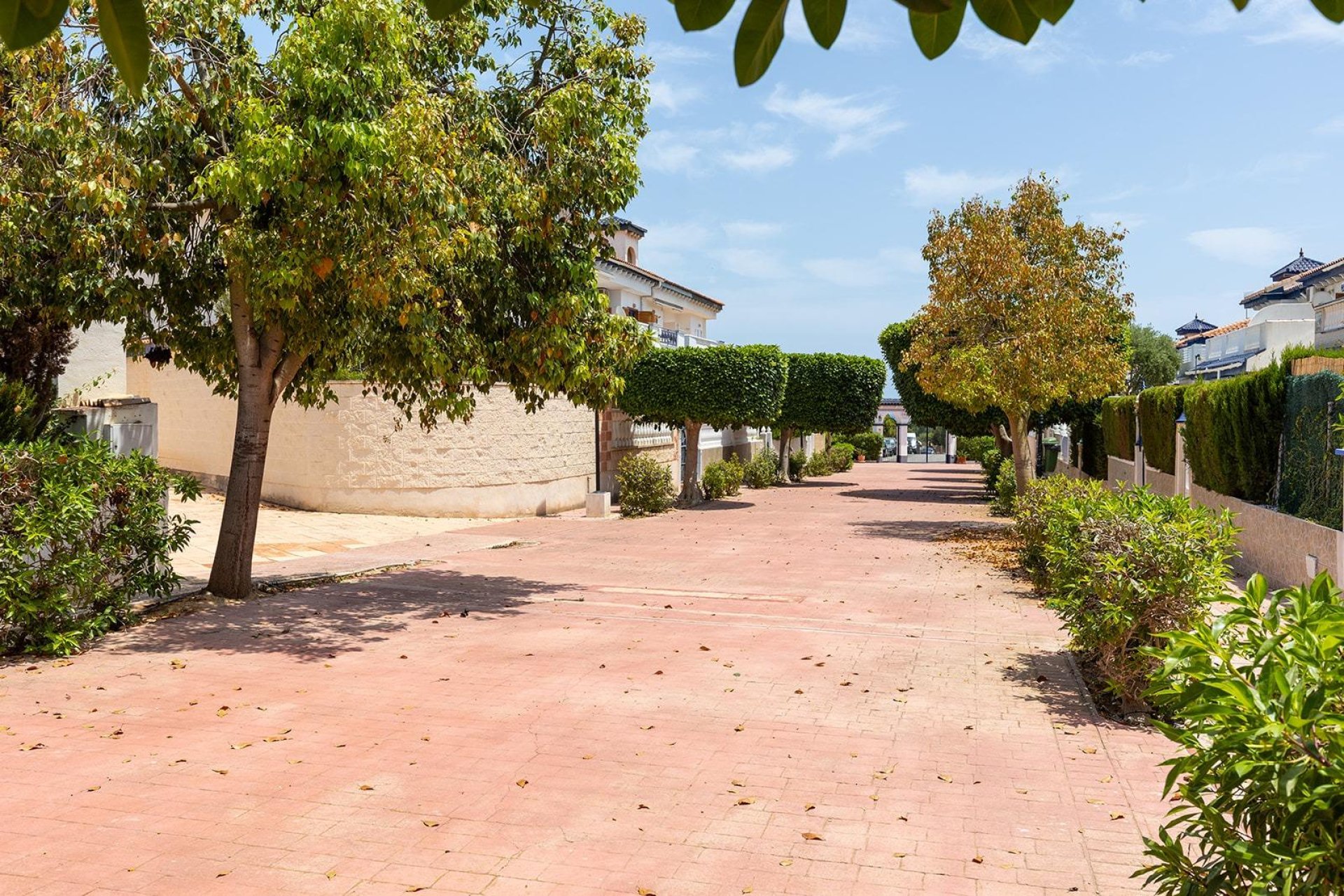 Rynek Wtórny - Bungalow / Domek parterowy - Torrevieja - La Mata