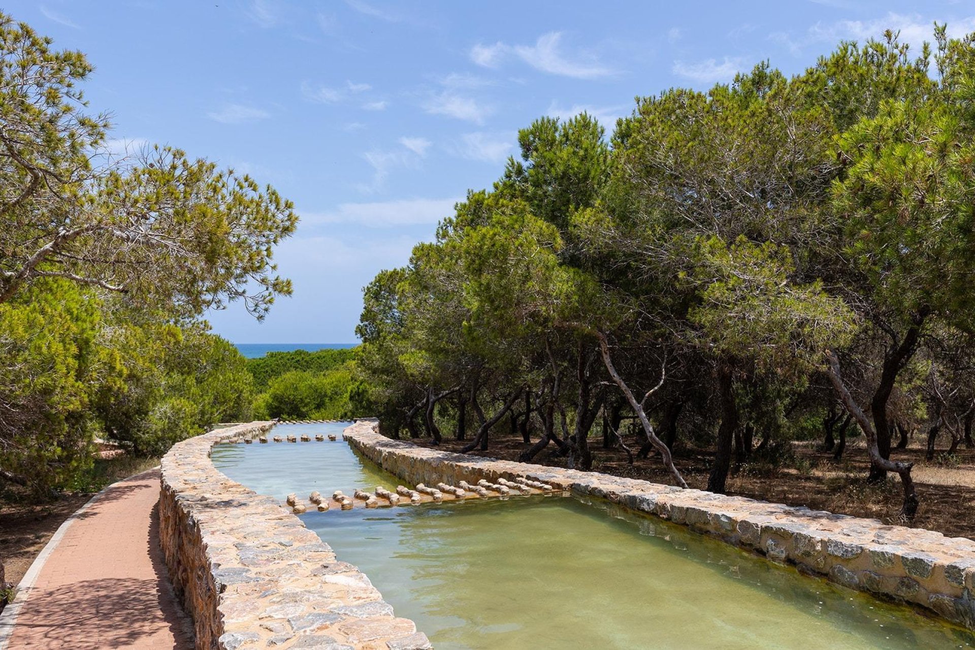 Rynek Wtórny - Bungalow / Domek parterowy - Torrevieja - La Mata