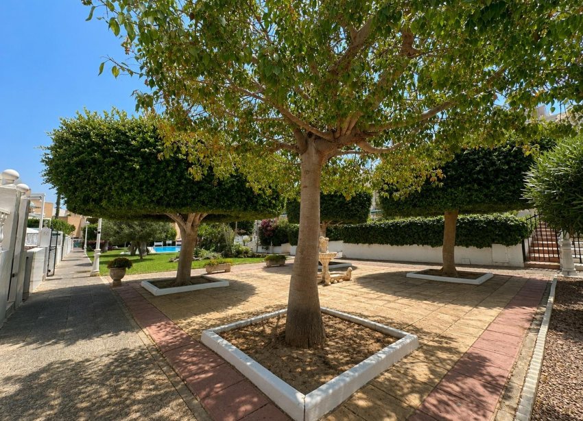 Rynek Wtórny - Bungalow / Domek parterowy - Torrevieja - La Mata