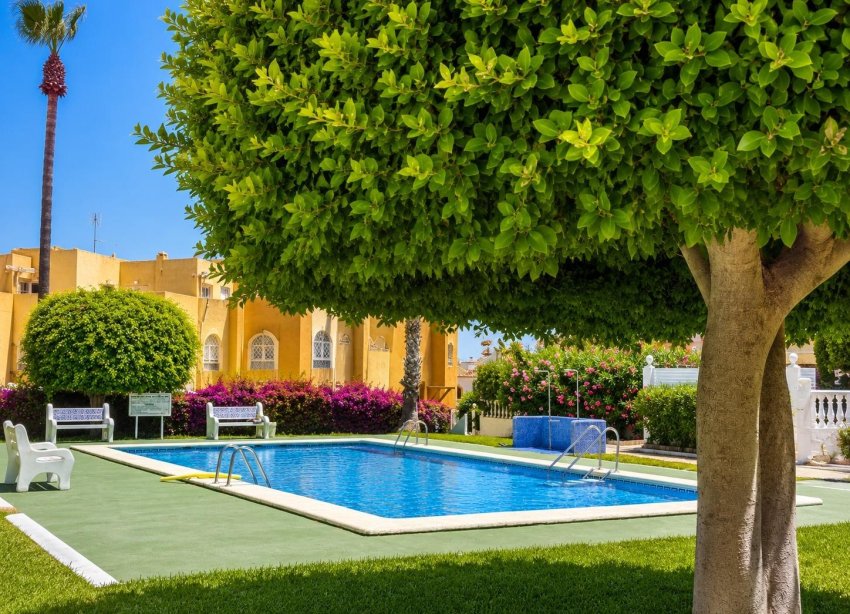 Rynek Wtórny - Bungalow / Domek parterowy - Torrevieja - La Mata