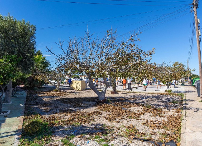 Rynek Wtórny - Bungalow / Domek parterowy - Torrevieja - La Siesta - El Salado - Torreta