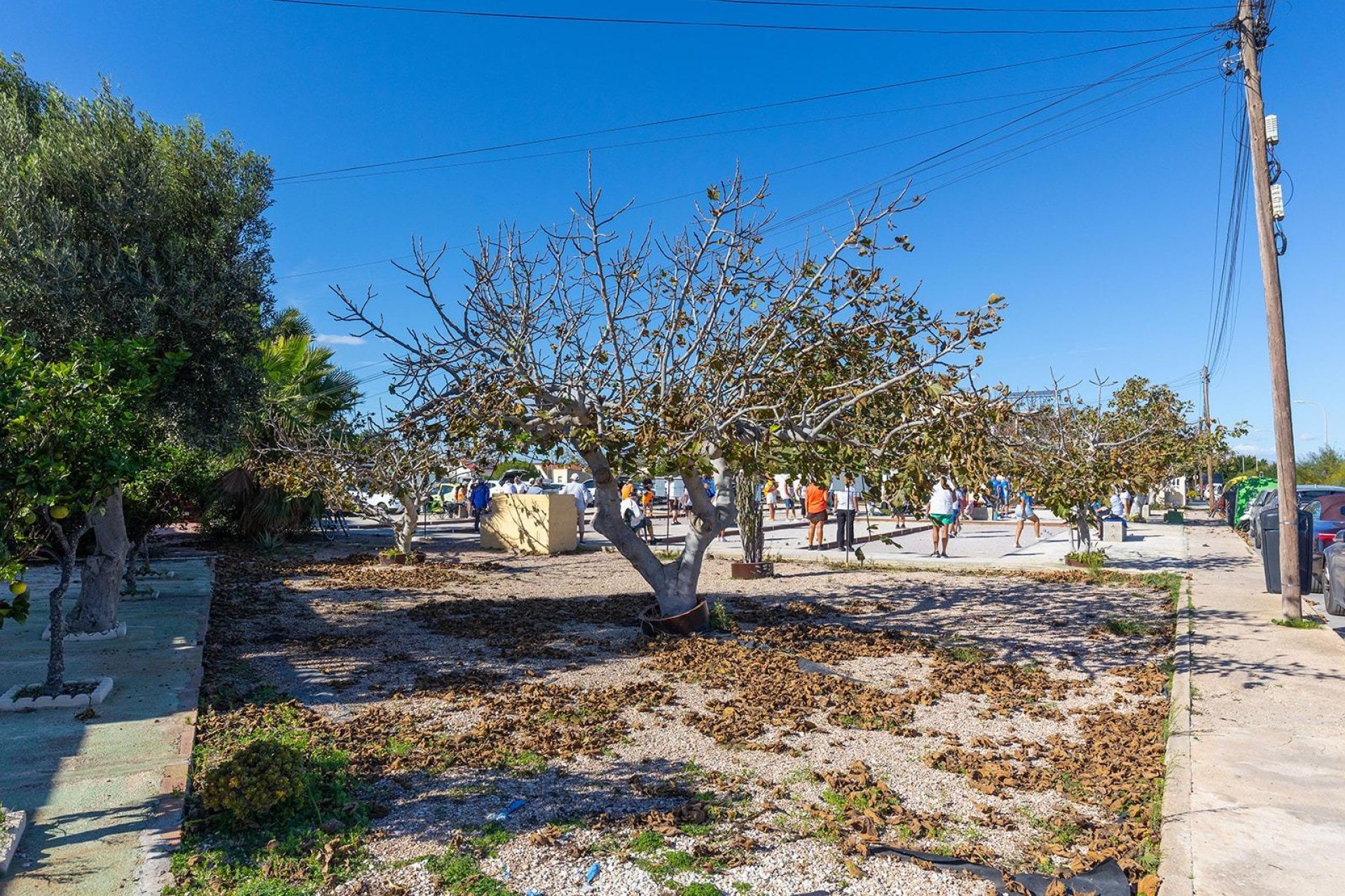 Rynek Wtórny - Bungalow / Domek parterowy - Torrevieja - La Siesta - El Salado - Torreta