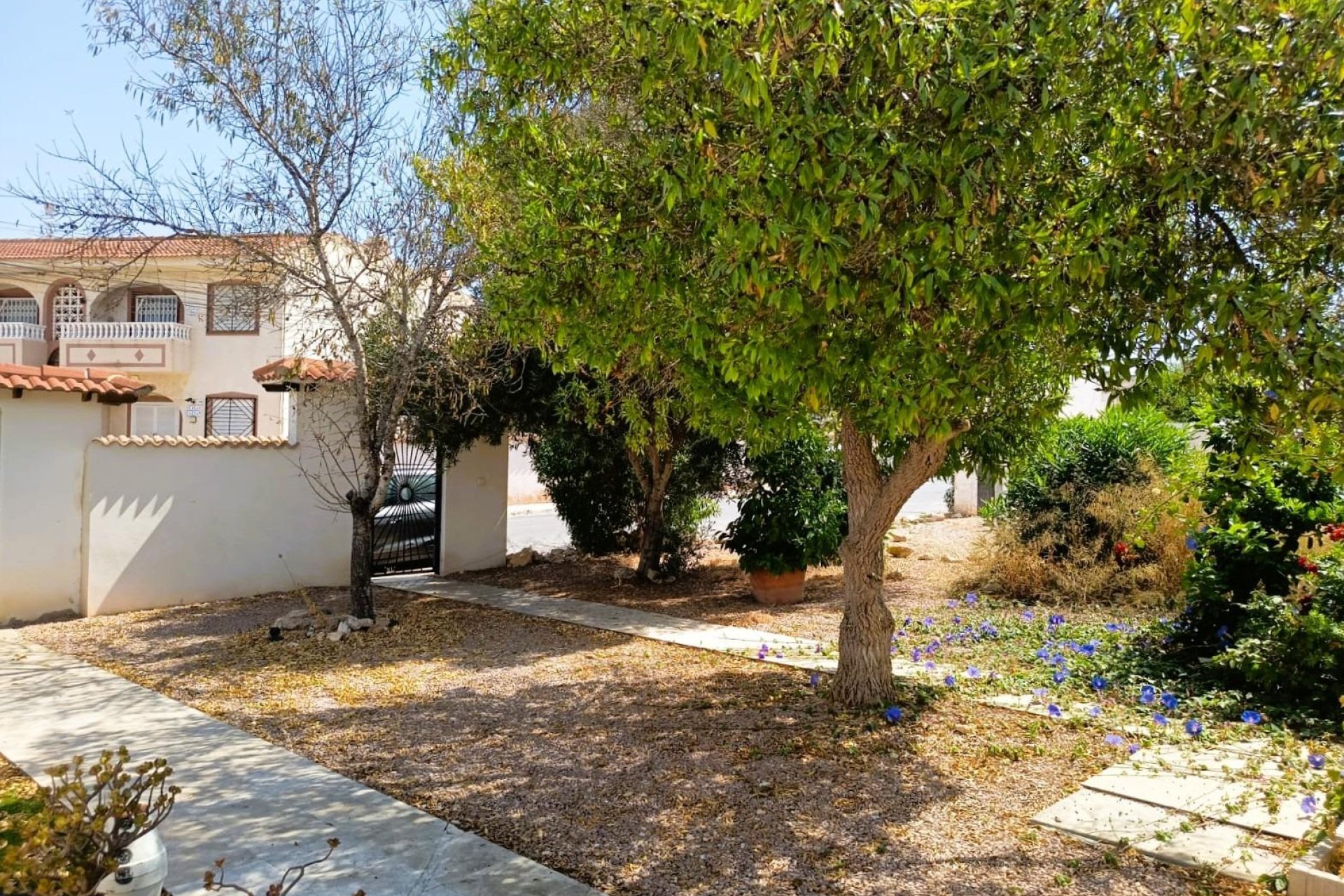 Rynek Wtórny - Bungalow / Domek parterowy - Torrevieja - La Siesta - El Salado - Torreta