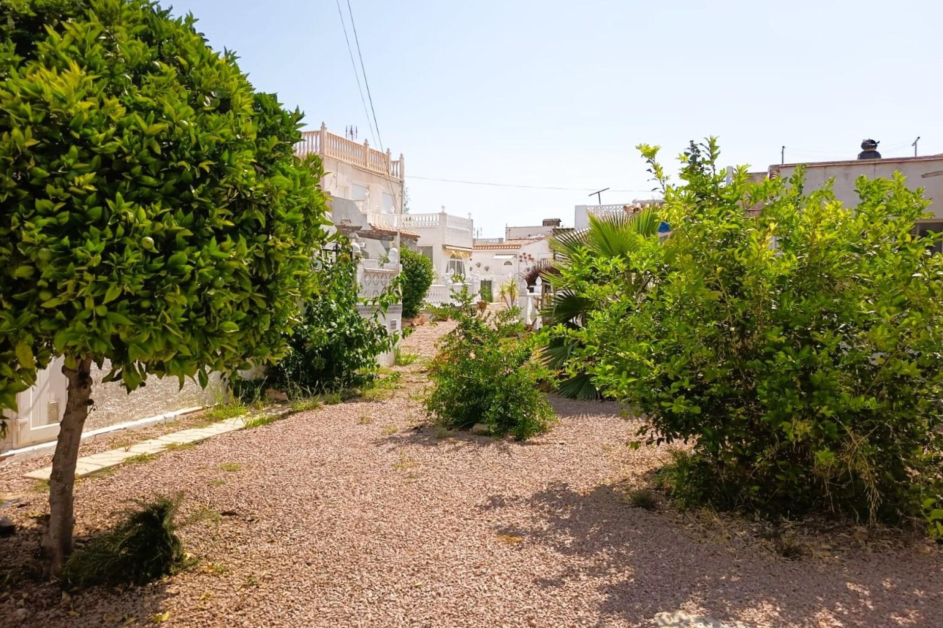 Rynek Wtórny - Bungalow / Domek parterowy - Torrevieja - La Siesta - El Salado - Torreta