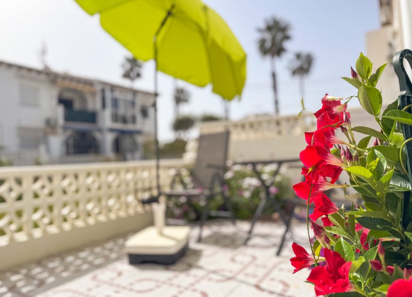 Rynek Wtórny - Bungalow / Domek parterowy - Torrevieja - Lago Jardin