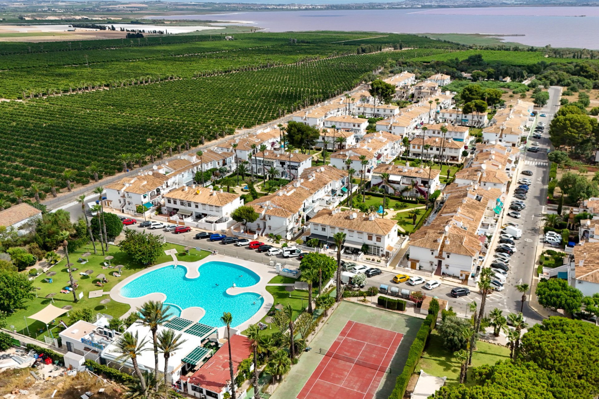 Rynek Wtórny - Bungalow / Domek parterowy - Torrevieja - Lago Jardin