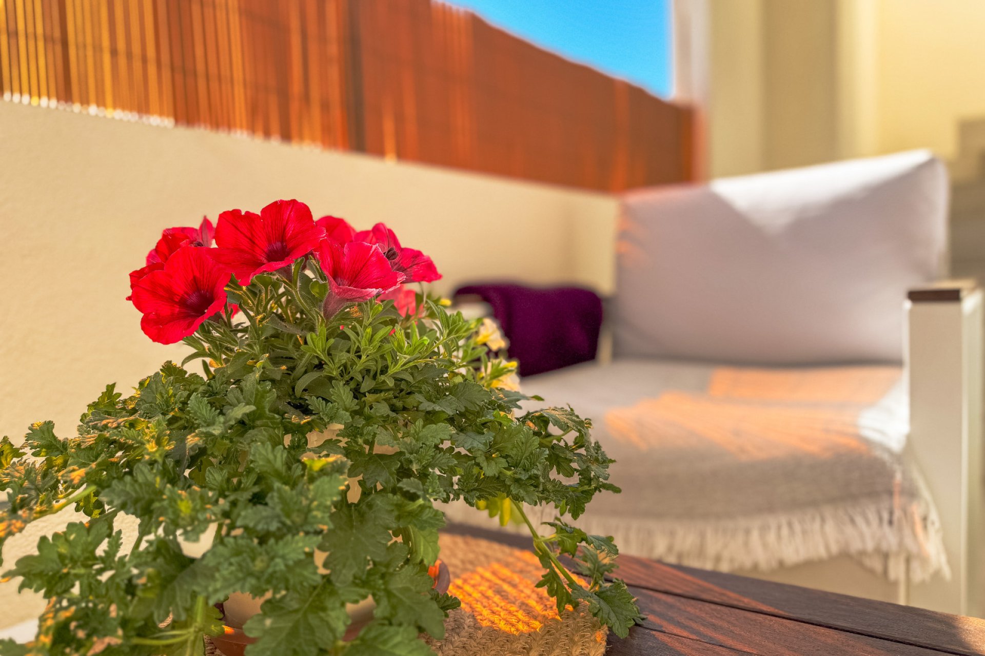 Rynek Wtórny - Bungalow / Domek parterowy - Torrevieja - Los Altos