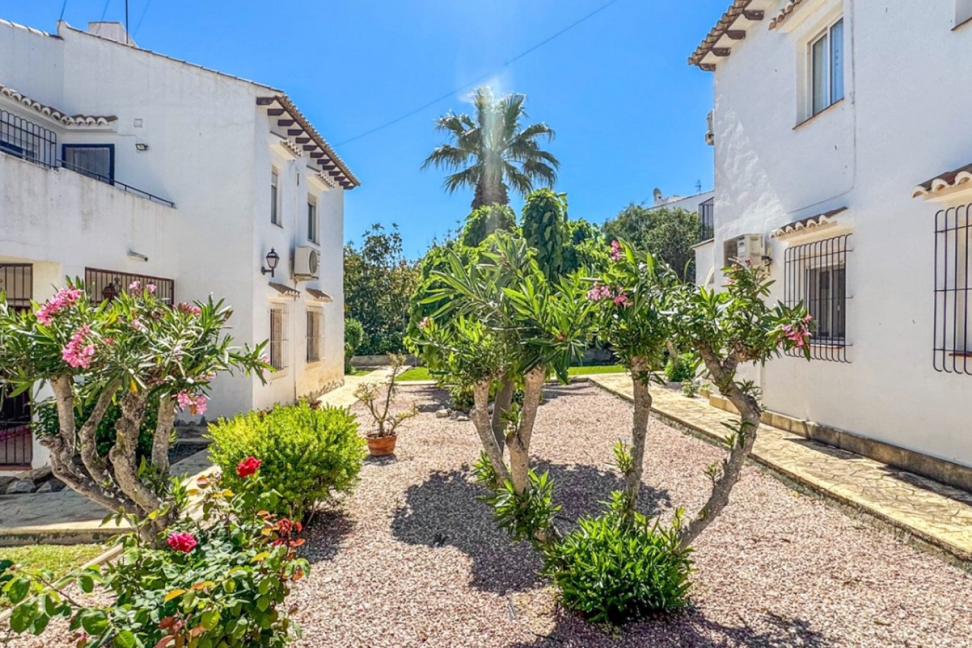 Rynek Wtórny - Bungalow / Domek parterowy - Torrevieja - Los Balcones