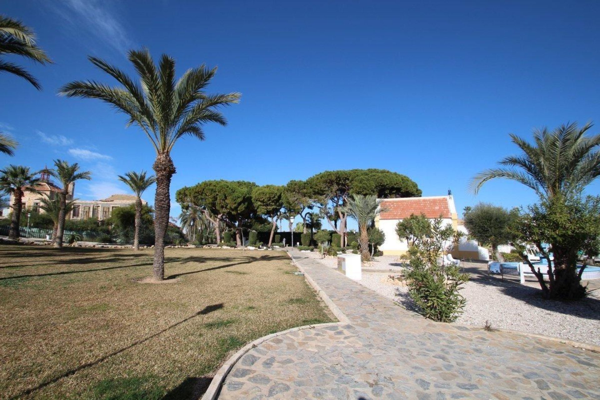 Rynek Wtórny - Bungalow / Domek parterowy - Torrevieja - Los Balcones