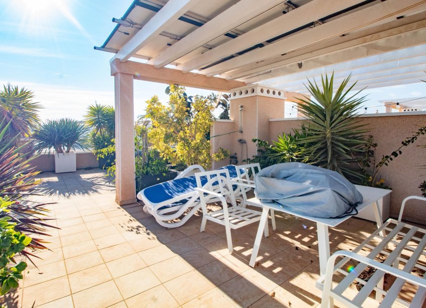 Rynek Wtórny - Bungalow / Domek parterowy - Torrevieja - Punta prima