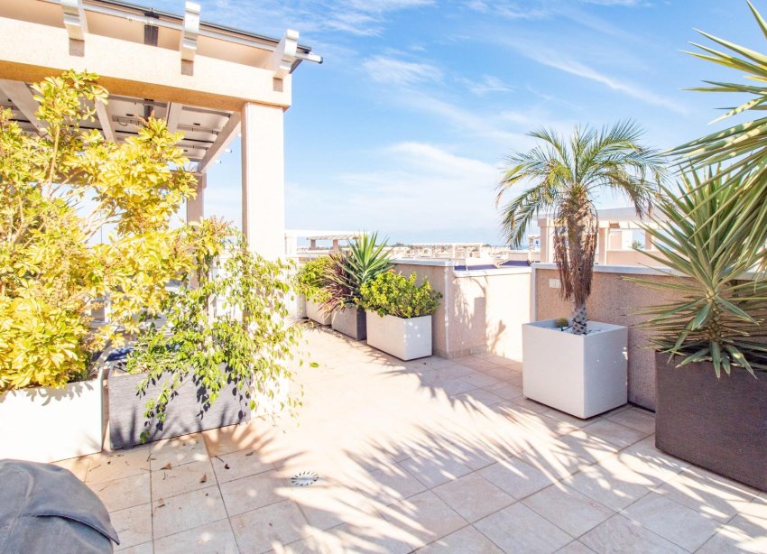 Rynek Wtórny - Bungalow / Domek parterowy - Torrevieja - Punta prima