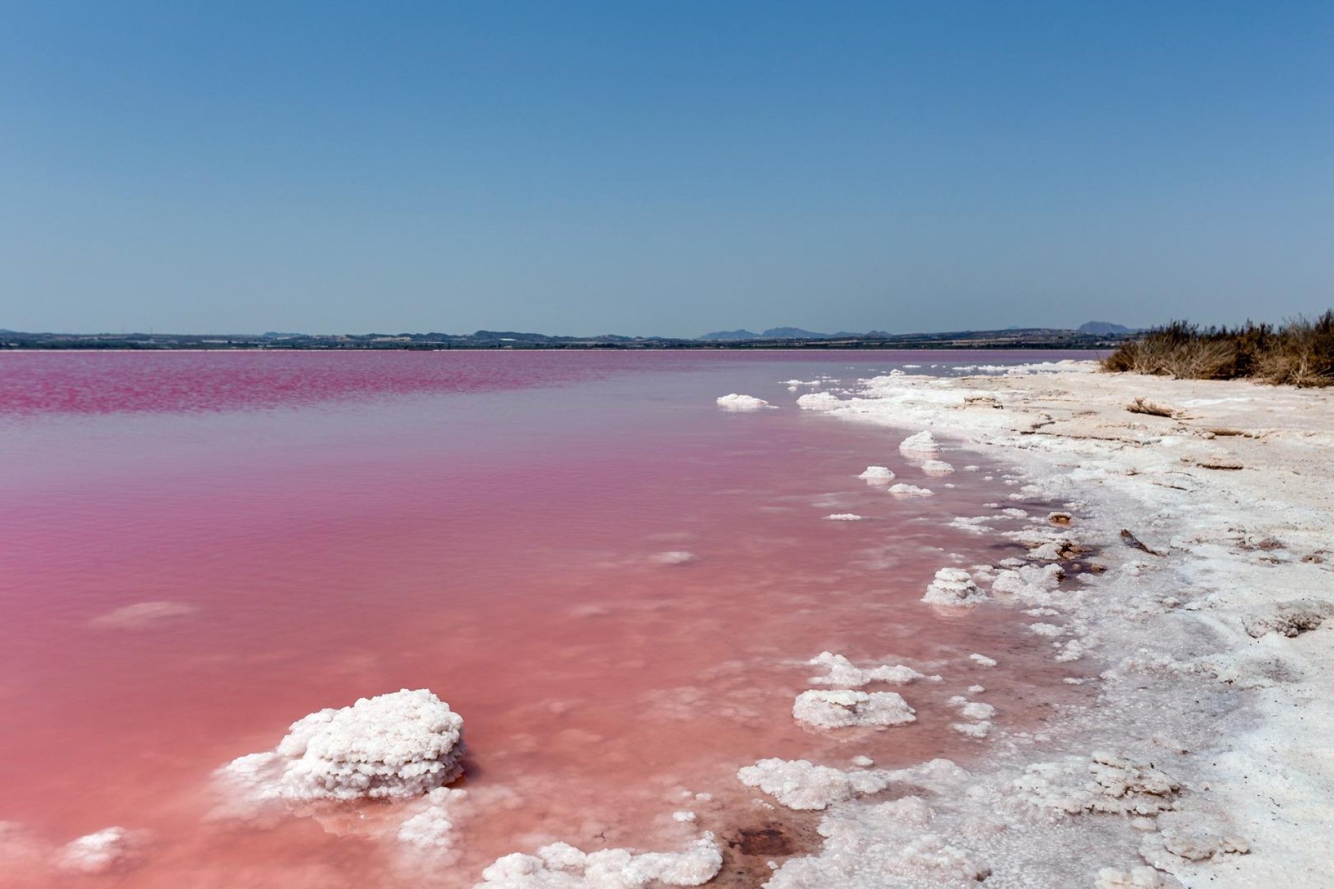 Rynek Wtórny - Bungalow / Domek parterowy - Torrevieja - San luis