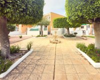 Rynek Wtórny - Bungalow / Domek parterowy - Torrevieja - Torreblanca