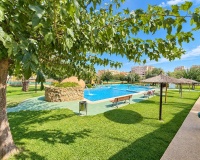 Rynek Wtórny - Bungalow / Domek parterowy - Torrevieja - Torreblanca