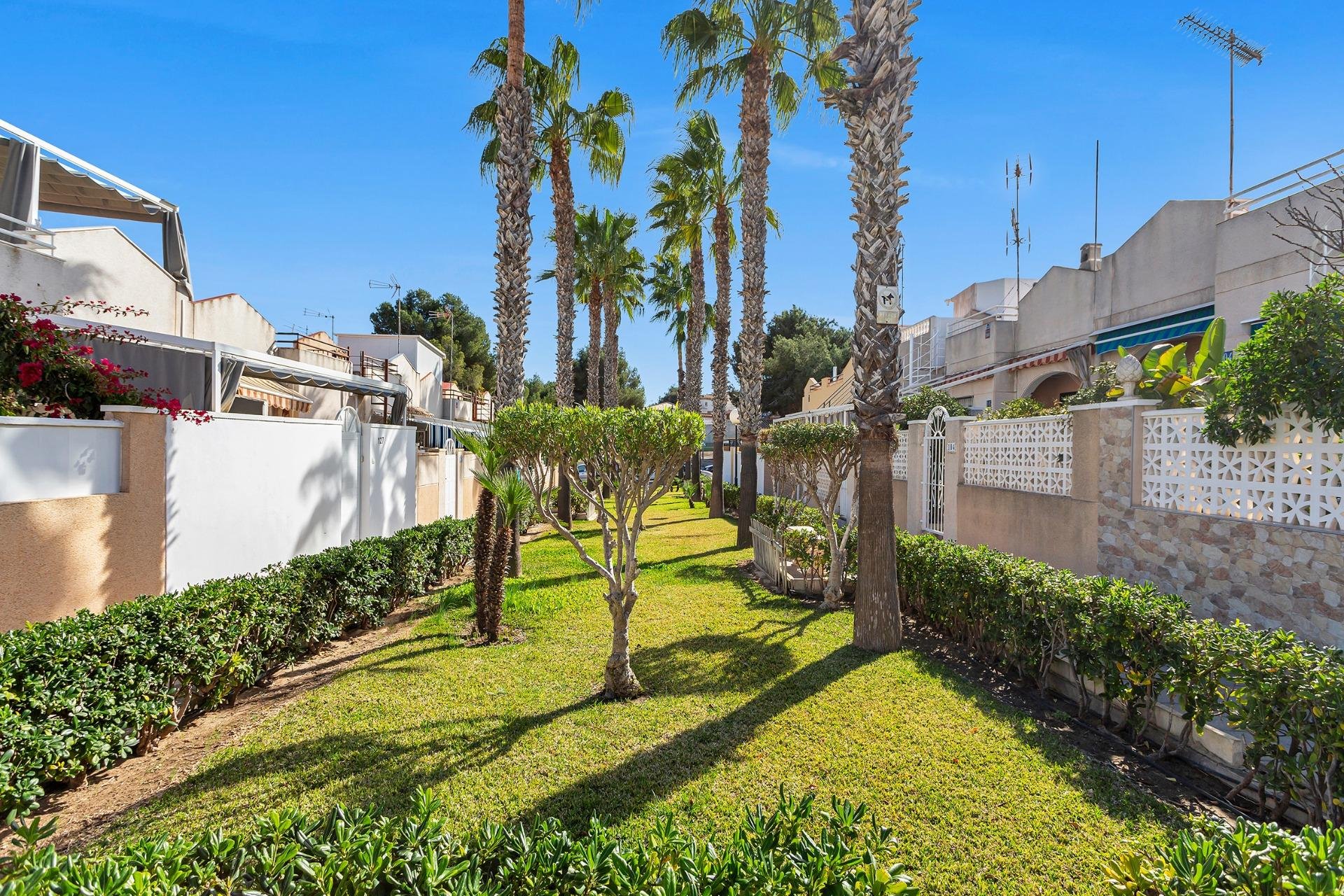 Rynek Wtórny - Bungalow - Torrevieja - Lago jardin