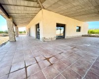 Rynek Wtórny - Dom na wsi - Elche - Matola