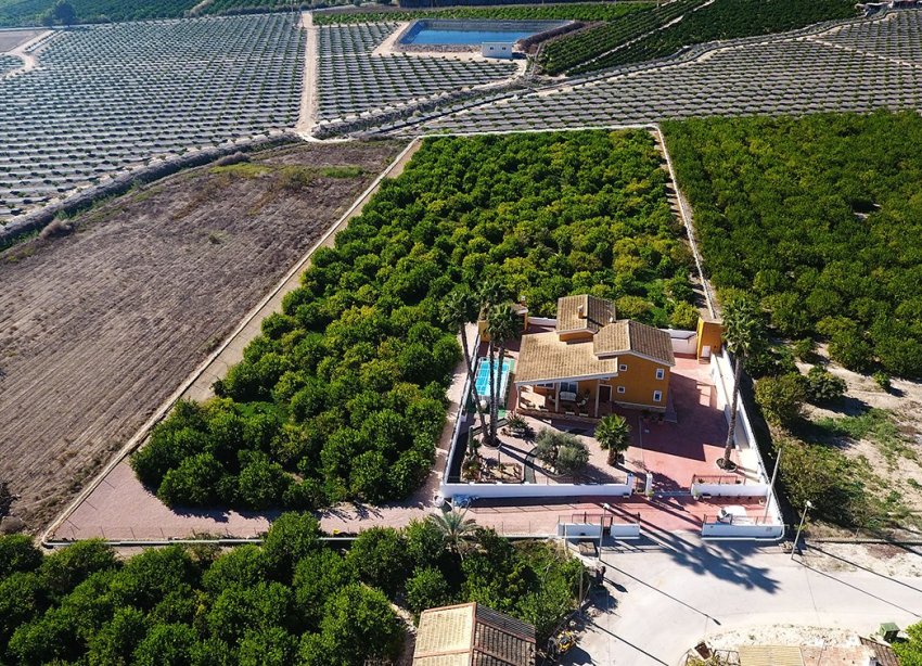 Rynek Wtórny - Dom na wsi - Orihuela