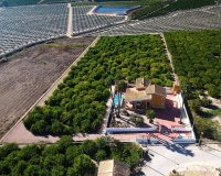 Rynek Wtórny - Dom na wsi - Orihuela