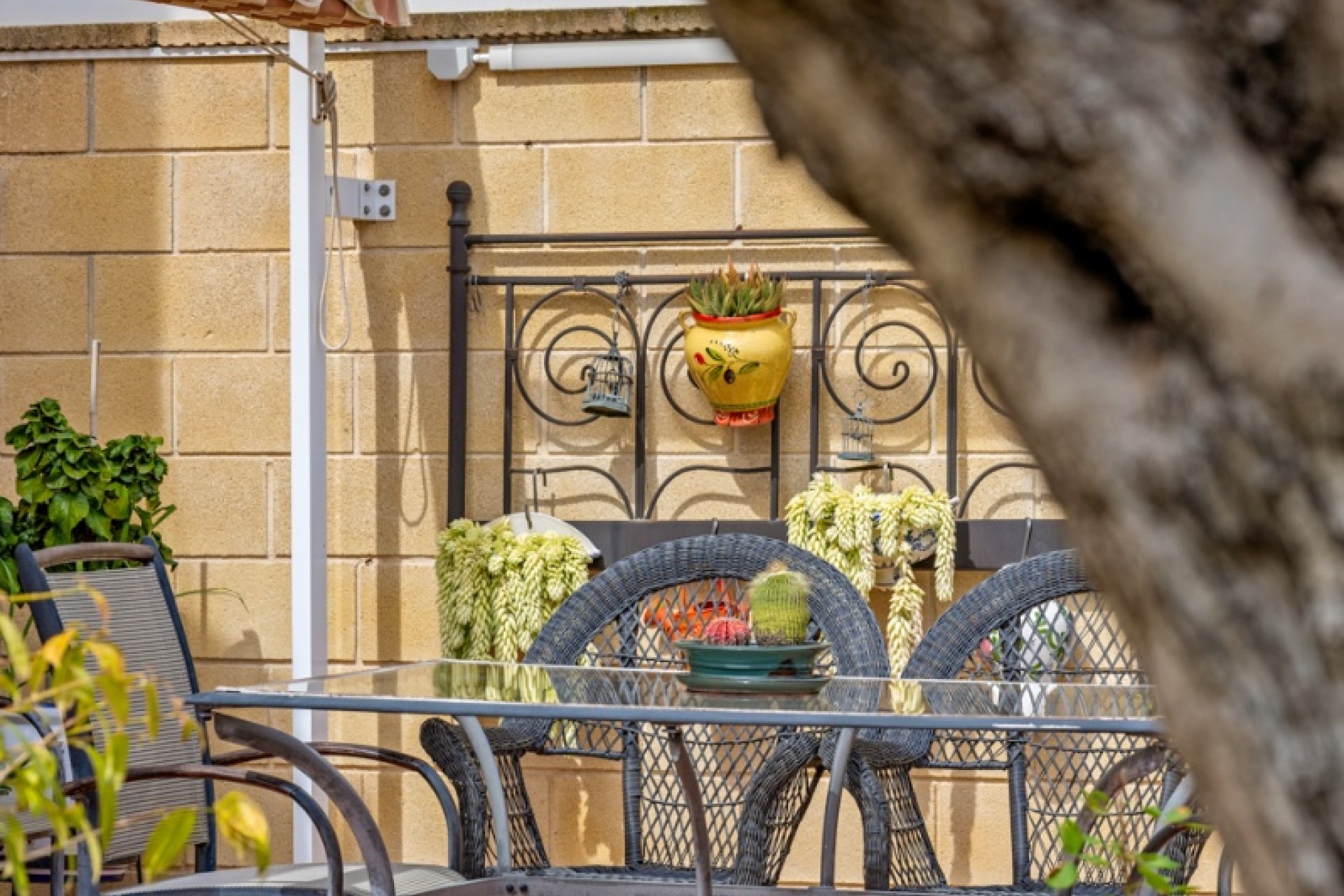 Rynek Wtórny - Dom szeregowy - Ciudad Quesada - Rojales