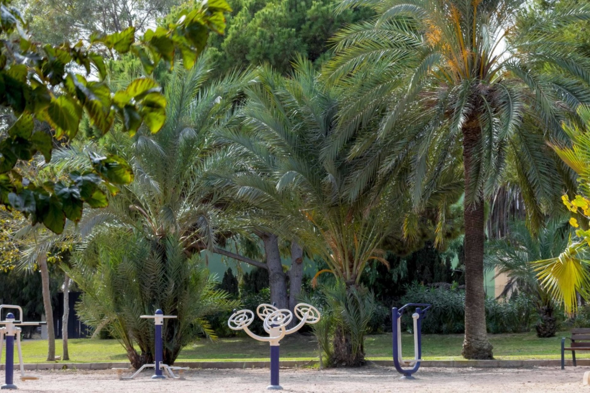 Rynek Wtórny - Dom szeregowy - Orihuela Costa - La Zenia