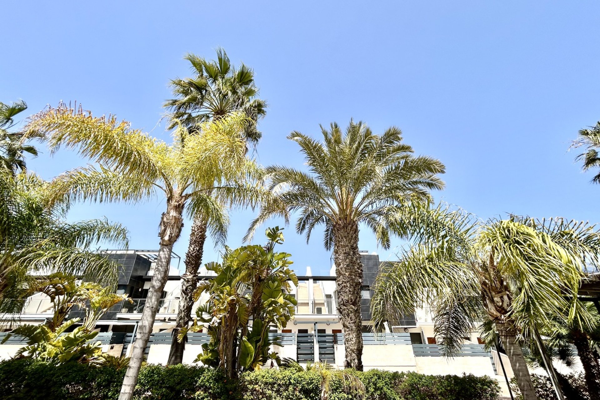 Rynek Wtórny - Dom szeregowy - Orihuela Costa - Los Dolses