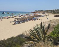 Rynek Wtórny - Dom szeregowy - Pilar de la Horadada - Mil Palmeras