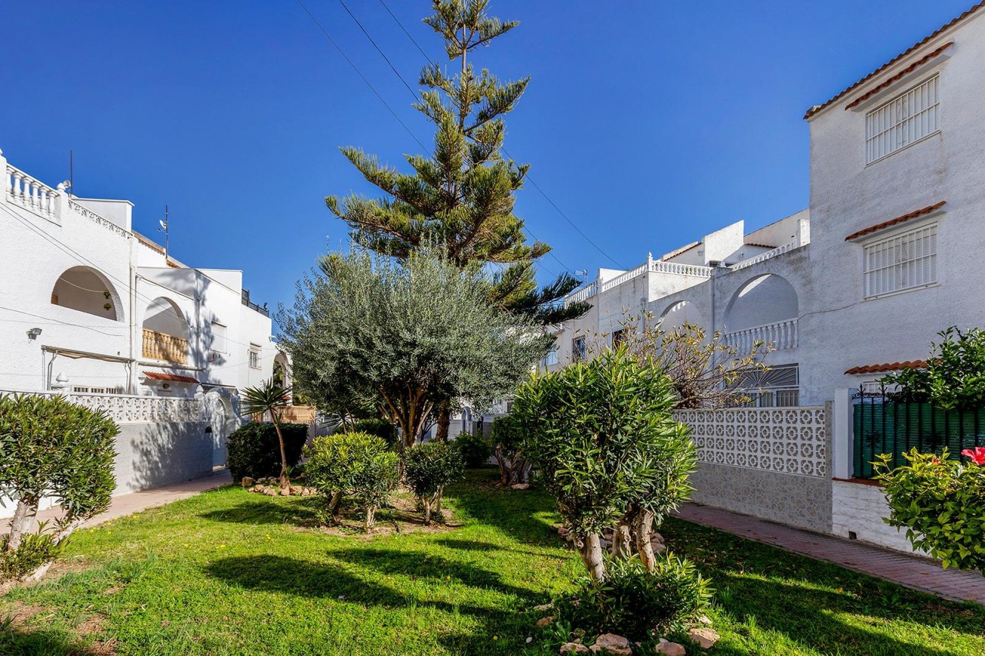 Rynek Wtórny - Dom szeregowy - Torrevieja - Calas blanca